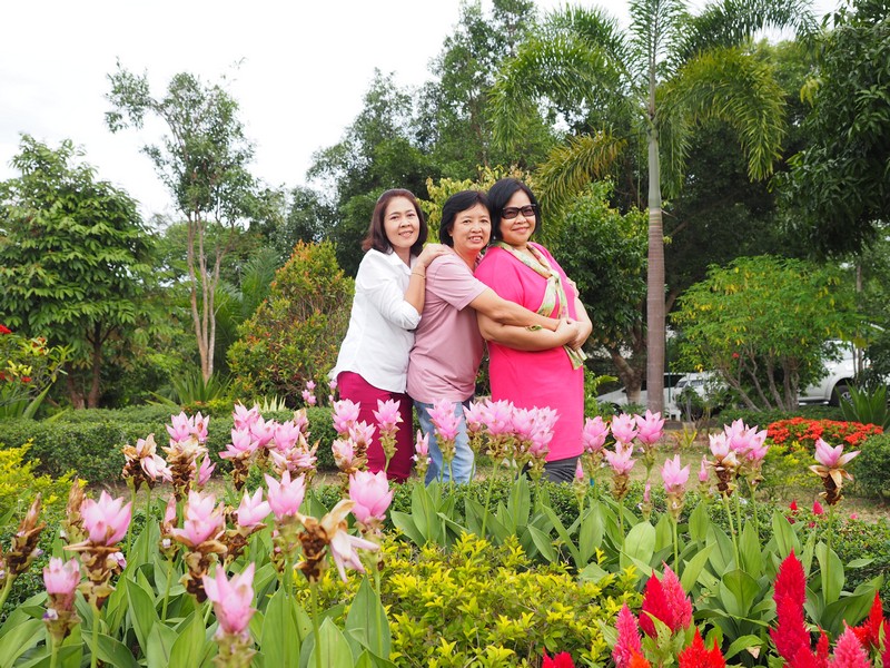 ป่าหินงาม ทุ่งดอกกระเจียว131.jpg